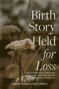 bokomslag Birth Story Held for Loss