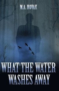 bokomslag What the Water Washes Away: A Lakefront Thriller