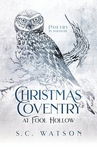 bokomslag Christmas Coventry at Fool Hollow