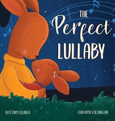 bokomslag The Perfect Lullaby