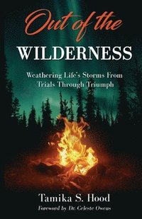 bokomslag Out Of The Wilderness: Weathering Life's Storms From Trials Through Triumph