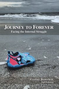 bokomslag Journey to Forever