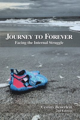 bokomslag Journey to Forever