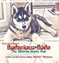 bokomslag Bodacious Bode - The Siberian Husky Pup