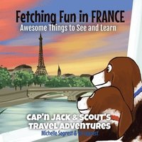 bokomslag Fetching Fun in France