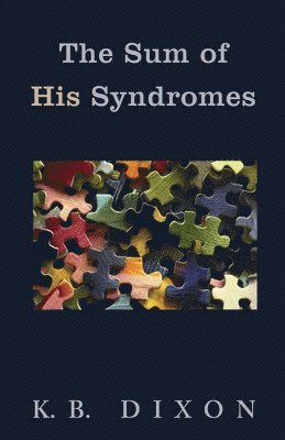 bokomslag Sum of His Syndromes