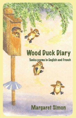 Wood Duck Diary
