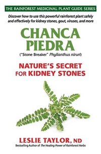 bokomslag Chanca Piedra: Nature's Secret for Kidney Stones