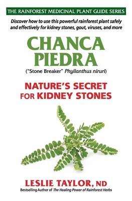 Chanca Piedra: Nature's Secret for Kidney Stones 1