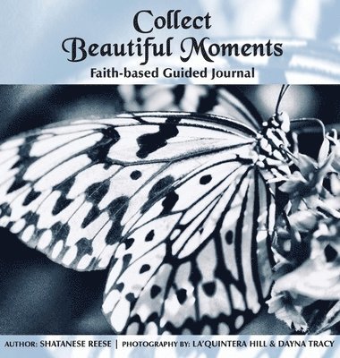 Collect Beautiful Moments 1