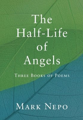 Half-Life of Angels 1