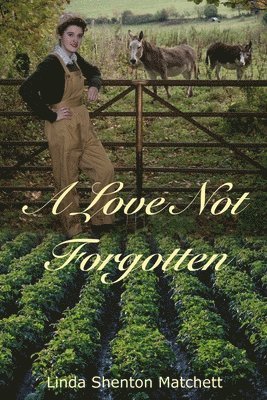 A Love Not Forgotten 1