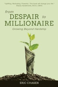 bokomslag From Despair to Millionaire