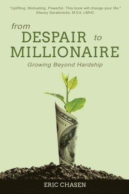 From Despair to Millionaire 1