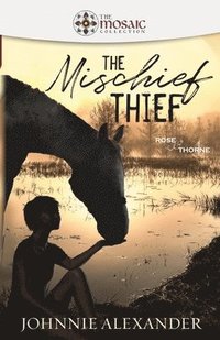 bokomslag The Mischief Thief