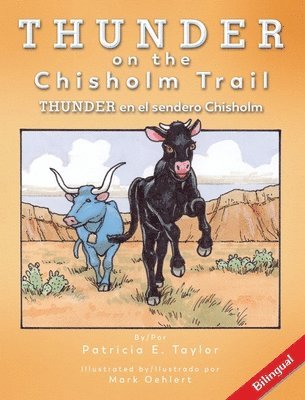 bokomslag Thunder on the Chisolm Trail