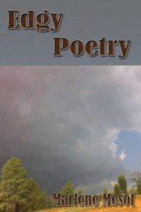 bokomslag Edgy Poetry