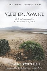 bokomslag Sleeper, Awake: 40 days of companionship for the deconstruction process
