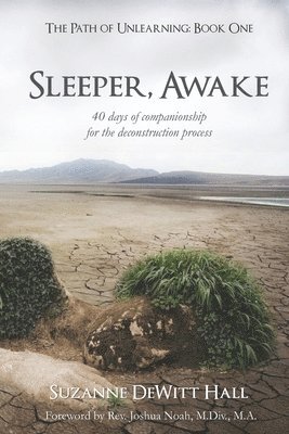 Sleeper, Awake: 40 days of companionship for the deconstruction process 1