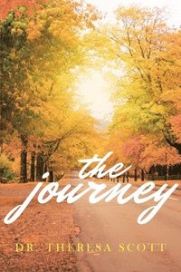 bokomslag Journey