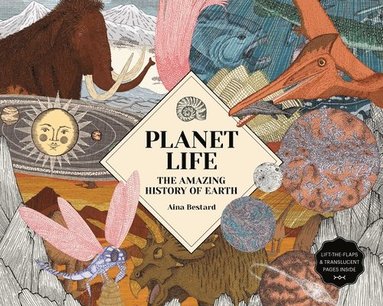 bokomslag Planet Life: The Amazing History of Earth