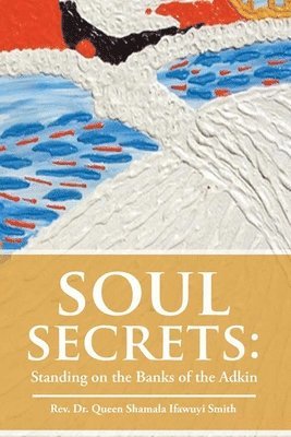 bokomslag Soul Secrets
