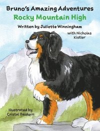 bokomslag Rocky Mountain High
