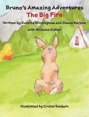 bokomslag The Big Fire
