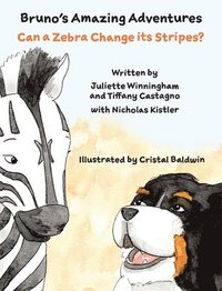 bokomslag Can a Zebra Change its Stripes?