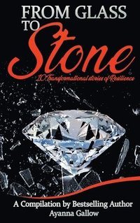 bokomslag From Glass to Stone