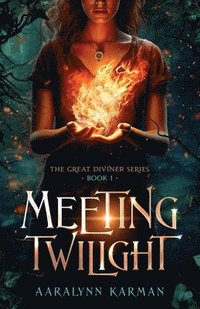 bokomslag Meeting Twilight