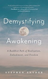 bokomslag Demystifying Awakening