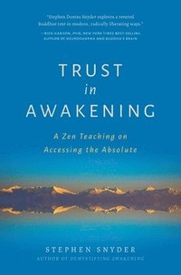 bokomslag Trust in Awakening