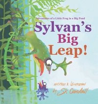 bokomslag Sylvan's Big Leap!