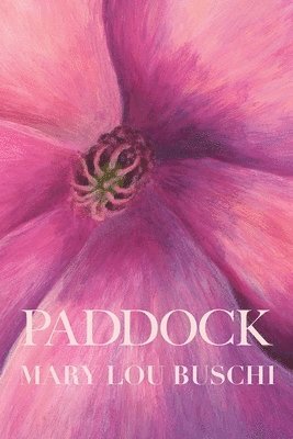 Mary Lou Buschi, Eileen Cleary - Paddock, Häftad