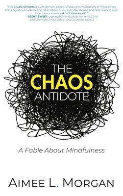 bokomslag Chaos Antidote