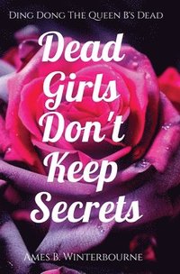 bokomslag Dead Girls Don't Keep Secrets