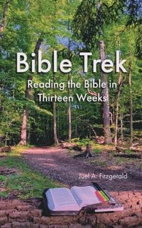 bokomslag Bible Trek Reading the Bible in Thirteen Weeks