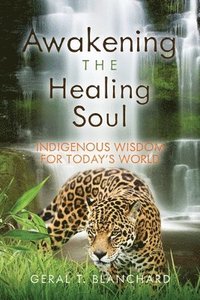 bokomslag Awakening the Healing Soul