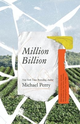 Michael Perry - Million Billion, Häftad