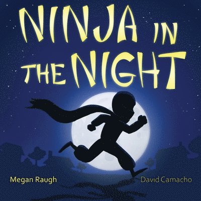 Ninja in the Night 1