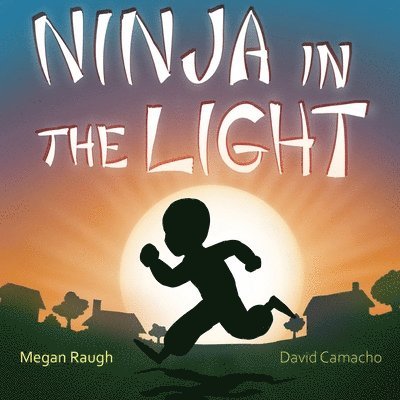 Ninja in the Light 1
