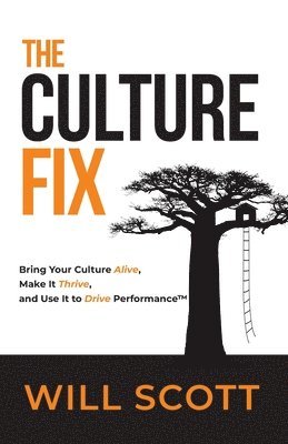 bokomslag The Culture Fix