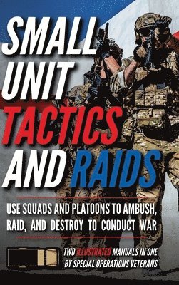 Small Unit Tactics and Raids 1