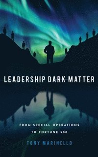 bokomslag Leadership Dark Matter