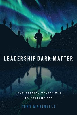 bokomslag Leadership Dark Matter