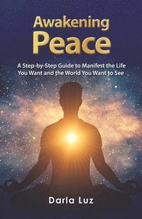 bokomslag Awakening Peace