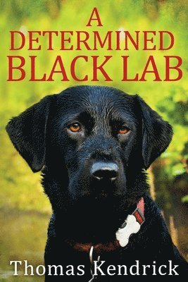 Thomas Kendrick - Determined Black Lab, Häftad