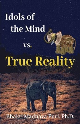 bokomslag Idols of the Mind vs. True Reality