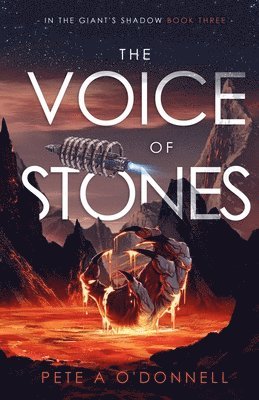 bokomslag Voice of Stones